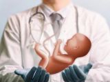 试管婴儿活不过40岁是真的吗？专家：无科学依据